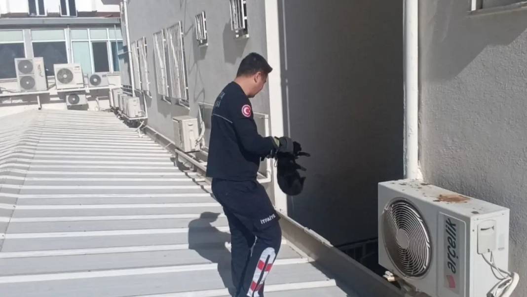 Manavgat’ta Kedinin Çatı Keyfi Krize Dönüştü! İmdadına İtfaiye Yetişti 5